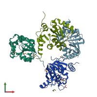 PDB entry 2acf coloured by chain, front view.