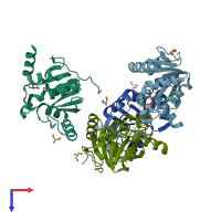PDB entry 2acf coloured by chain, top view.