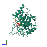 PDB entry 2acu coloured by chain, side view.