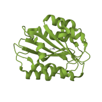 The deposited structure of PDB entry 2adf contains 1 copy of SCOP domain 53301 (Integrin A (or I) domain) in von Willebrand factor. Showing 1 copy in chain A.