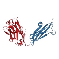 The deposited structure of PDB entry 2adf contains 2 copies of CATH domain 2.60.40.10 (Immunoglobulin-like) in Ig heavy chain Mem5. Showing 2 copies in chain B [auth H].