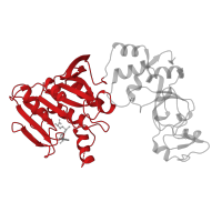 The deposited structure of PDB entry 2adm contains 2 copies of CATH domain 3.40.50.150 (Rossmann fold) in Type II methyltransferase M.TaqI. Showing 1 copy in chain A.