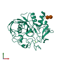 PDB entry 2aft coloured by chain, front view.