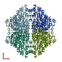 PDB entry 2ag0 coloured by chain, front view.