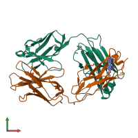 PDB entry 2agj coloured by chain, front view.