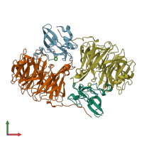 PDB entry 2agl coloured by chain, front view.