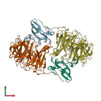 PDB entry 2ah0 coloured by chain, front view.