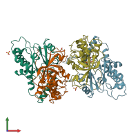 PDB entry 2ahj coloured by chain, front view.