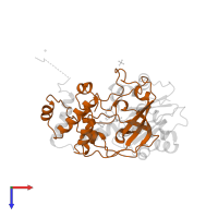 Nitrile hydratase subunit beta in PDB entry 2ahj, assembly 2, top view.