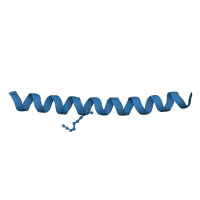 The deposited structure of PDB entry 2ahp contains 2 copies of SCOP domain 57960 (Leucine zipper domain) in General control transcription factor GCN4. Showing 1 copy in chain A.