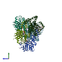 PDB entry 2ahr coloured by chain, side view.