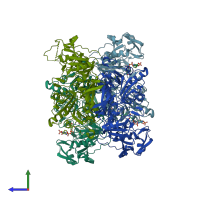 PDB entry 2ahw coloured by chain, side view.