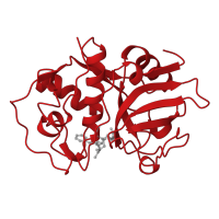 The deposited structure of PDB entry 2aim contains 1 copy of CATH domain 3.90.70.10 (Cathepsin B; Chain A) in Cruzipain. Showing 1 copy in chain A.