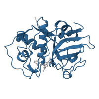 The deposited structure of PDB entry 2aim contains 1 copy of Pfam domain PF00112 (Papain family cysteine protease) in Cruzipain. Showing 1 copy in chain A.