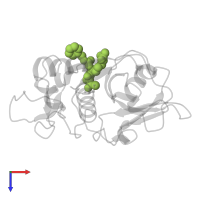 BENZOYL-ARGININE-ALANINE-FLUORO-METHYL KETONE in PDB entry 2aim, assembly 1, top view.