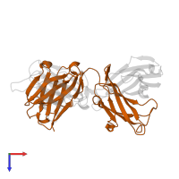 Ig-like domain-containing protein in PDB entry 2aju, assembly 1, top view.