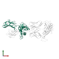 HLA class I histocompatibility antigen, B alpha chain in PDB entry 2ak4, assembly 3, front view.