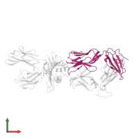 T cell receptor alpha chain constant in PDB entry 2ak4, assembly 3, front view.