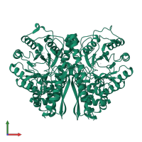 Gamma-enolase in PDB entry 2akm, assembly 1, front view.
