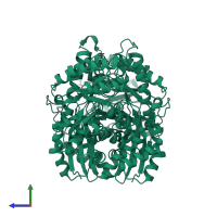 Gamma-enolase in PDB entry 2akm, assembly 1, side view.
