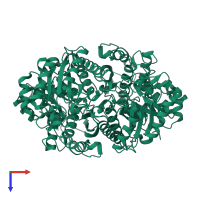 Gamma-enolase in PDB entry 2akm, assembly 1, top view.