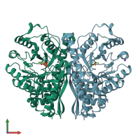 PDB entry 2al1 coloured by chain, front view.