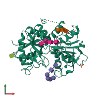 PDB entry 2alu coloured by chain, front view.