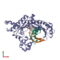 PDB entry 2alz coloured by chain, front view.