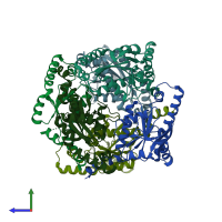 PDB entry 2anc coloured by chain, side view.