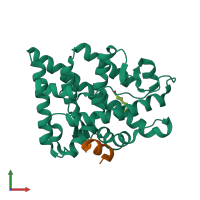 PDB entry 2ao6 coloured by chain, front view.