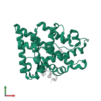 Androgen receptor in PDB entry 2ao6, assembly 1, front view.