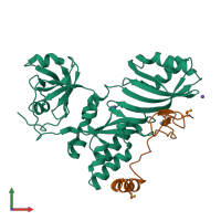 PDB entry 2apo coloured by chain, front view.
