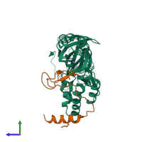 PDB entry 2apo coloured by chain, side view.