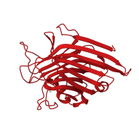 The deposited structure of PDB entry 2arb contains 2 copies of CATH domain 2.60.120.200 (Jelly Rolls) in Legume lectin domain-containing protein. Showing 1 copy in chain A.
