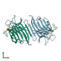 PDB 2arb coloured by chain and viewed from the front.