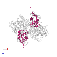 Histone H4 in PDB entry 2aro, assembly 1, top view.