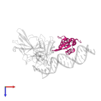 Forkhead box protein P2 in PDB entry 2as5, assembly 1, top view.