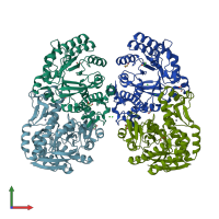 PDB entry 2ash coloured by chain, front view.