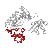 The deposited structure of PDB entry 2asl contains 2 copies of CATH domain 1.10.150.20 (DNA polymerase; domain 1) in DNA polymerase IV. Showing 1 copy in chain E [auth A].