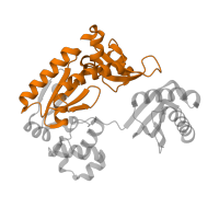 The deposited structure of PDB entry 2asl contains 2 copies of Pfam domain PF00817 (impB/mucB/samB family) in DNA polymerase IV. Showing 1 copy in chain E [auth A].