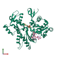 PDB entry 2aso coloured by chain, front view.