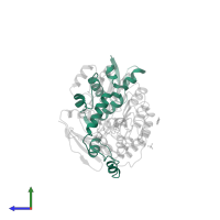 S-phase kinase-associated protein 1 in PDB entry 2ass, assembly 1, side view.