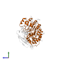 S-phase kinase-associated protein 2 in PDB entry 2ass, assembly 1, side view.