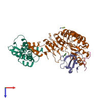 PDB entry 2ast coloured by chain, top view.