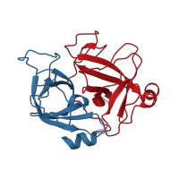 The deposited structure of PDB entry 2asu contains 2 copies of CATH domain 2.40.10.10 (Thrombin, subunit H) in Hepatocyte growth factor-like protein beta chain. Showing 2 copies in chain B.