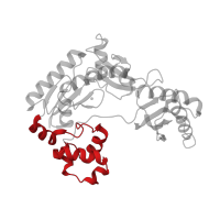 The deposited structure of PDB entry 2au0 contains 2 copies of CATH domain 1.10.150.20 (DNA polymerase; domain 1) in DNA polymerase IV. Showing 1 copy in chain E [auth A].