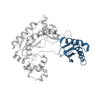 The deposited structure of PDB entry 2au0 contains 2 copies of CATH domain 3.30.1490.100 (Dna Ligase; domain 1) in DNA polymerase IV. Showing 1 copy in chain E [auth A].
