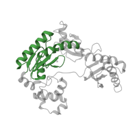 The deposited structure of PDB entry 2au0 contains 2 copies of CATH domain 3.30.70.270 (Alpha-Beta Plaits) in DNA polymerase IV. Showing 1 copy in chain E [auth A].