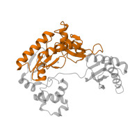 The deposited structure of PDB entry 2au0 contains 2 copies of Pfam domain PF00817 (impB/mucB/samB family) in DNA polymerase IV. Showing 1 copy in chain E [auth A].
