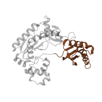 The deposited structure of PDB entry 2au0 contains 2 copies of Pfam domain PF11799 (impB/mucB/samB family C-terminal domain) in DNA polymerase IV. Showing 1 copy in chain E [auth A].